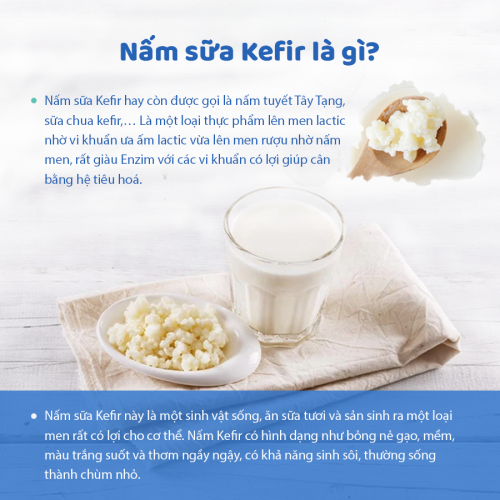 Kẹo nấm sữa Ohki Papa Kefir + Acid Lactic + Calcium D + 120 viên